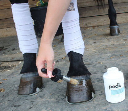 Pedi. A Hoof Conditioner (half pint/pint) - Riders Choice Supply Co