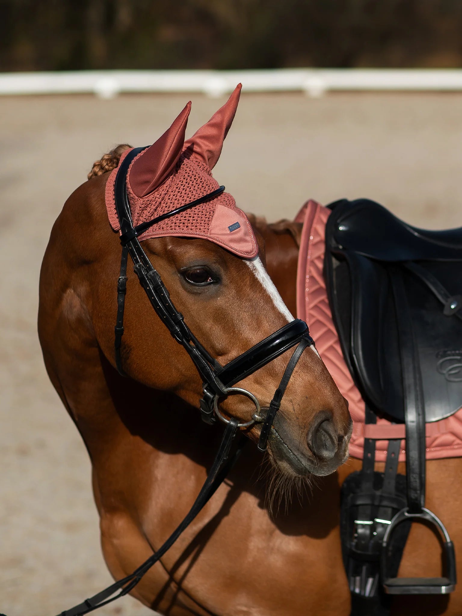 Equestrian Stockholm Ear Bonnet Modern Coral - Full - Riders Choice Supply Co