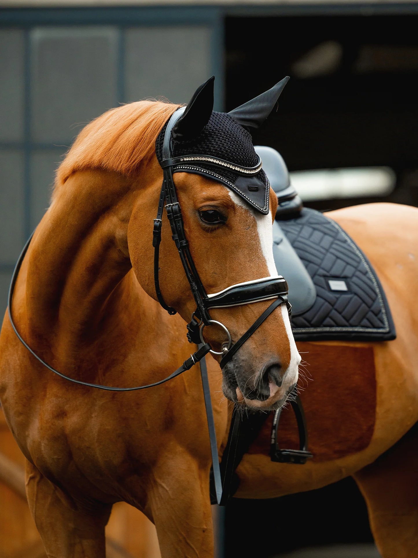 Equestrian Stockholm Ear Bonnet Modern Crystal
Black - Full - Riders Choice Supply Co