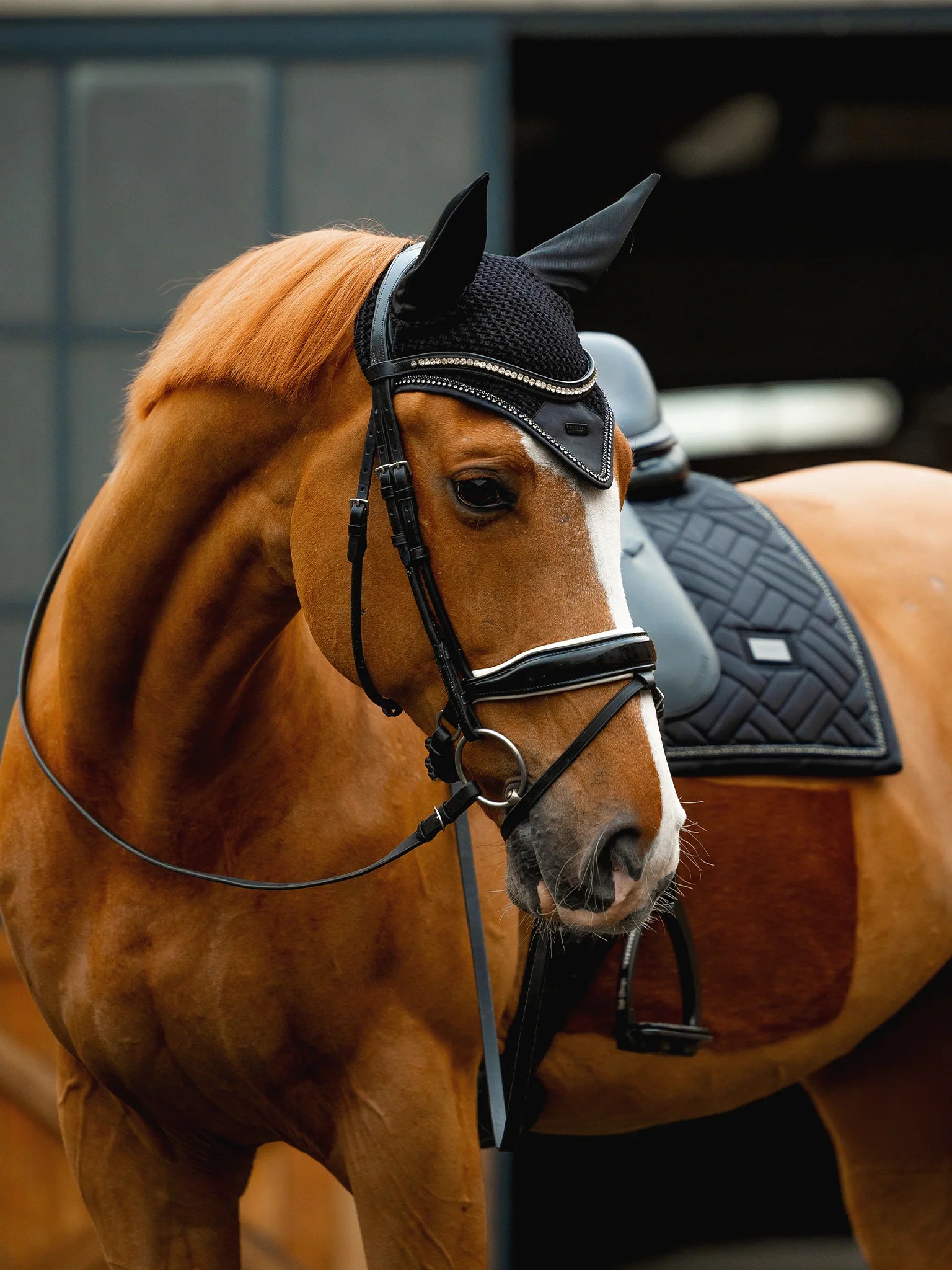 Equestrian Stockholm Ear Bonnet Modern Crystal
Black - Full - Riders Choice Supply Co
