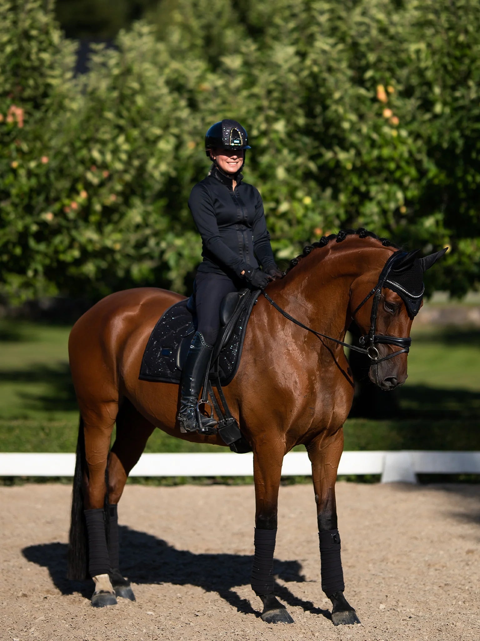 Equestrian Stockholm Ear Bonnet All Black Glimmer - Full - Riders Choice Supply Co