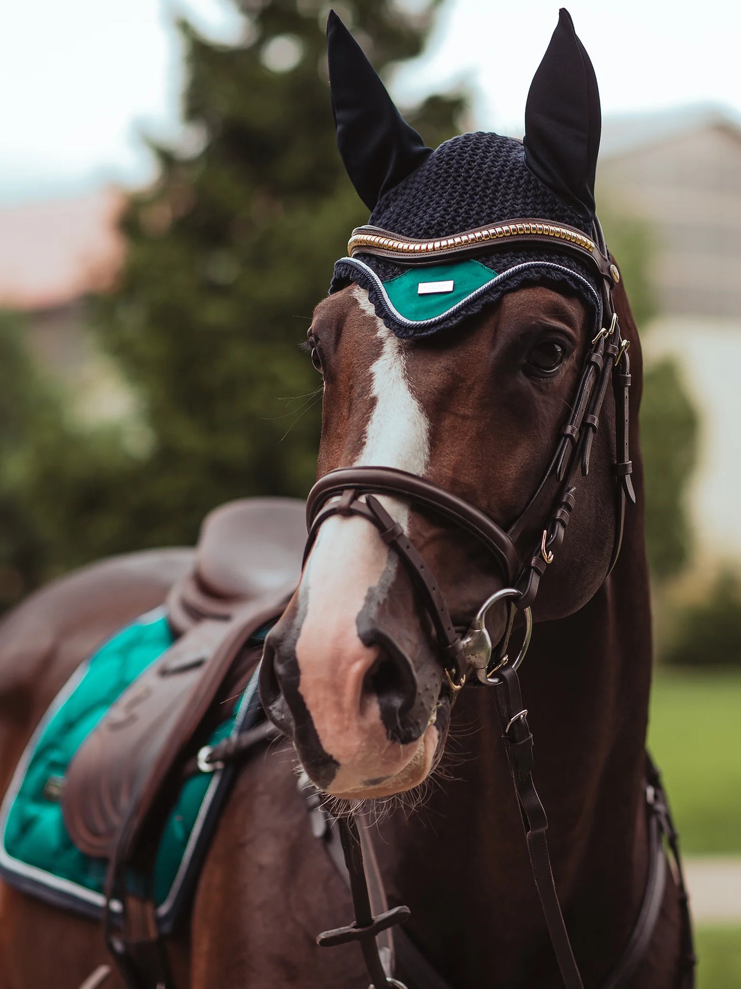 Equestrian Stockholm Ear Bonnet Emerald - Full - Riders Choice Supply Co