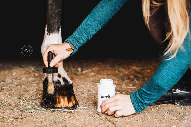 Pedi. A Hoof Conditioner (half pint/pint) - Riders Choice Supply Co