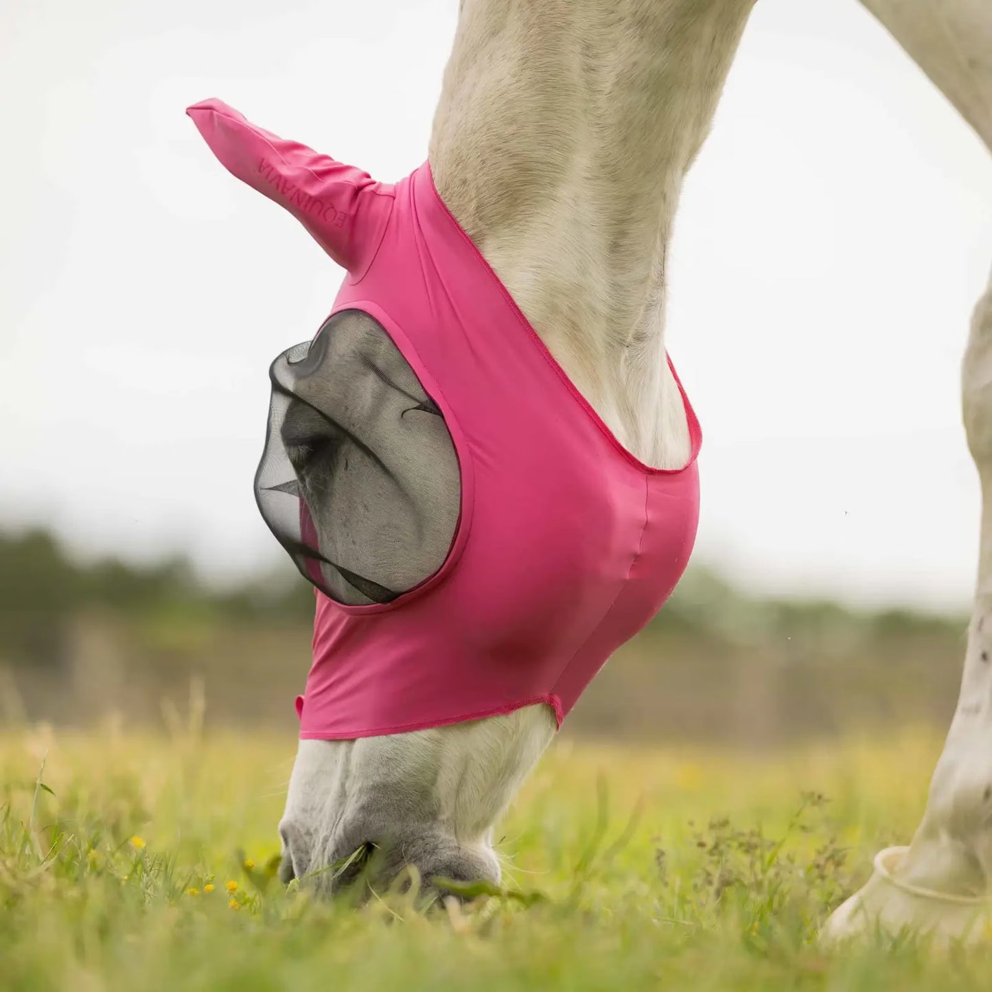 Equinavia Bug Out Fly Mask