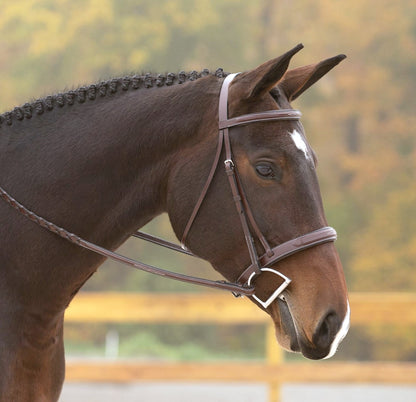 KL Select Red Barn Tryon