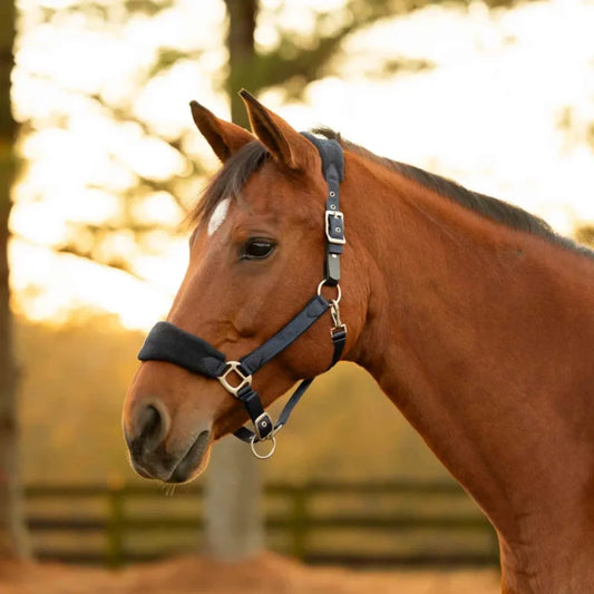 Equinavia Saga Fleece Padded Breakaway Halter