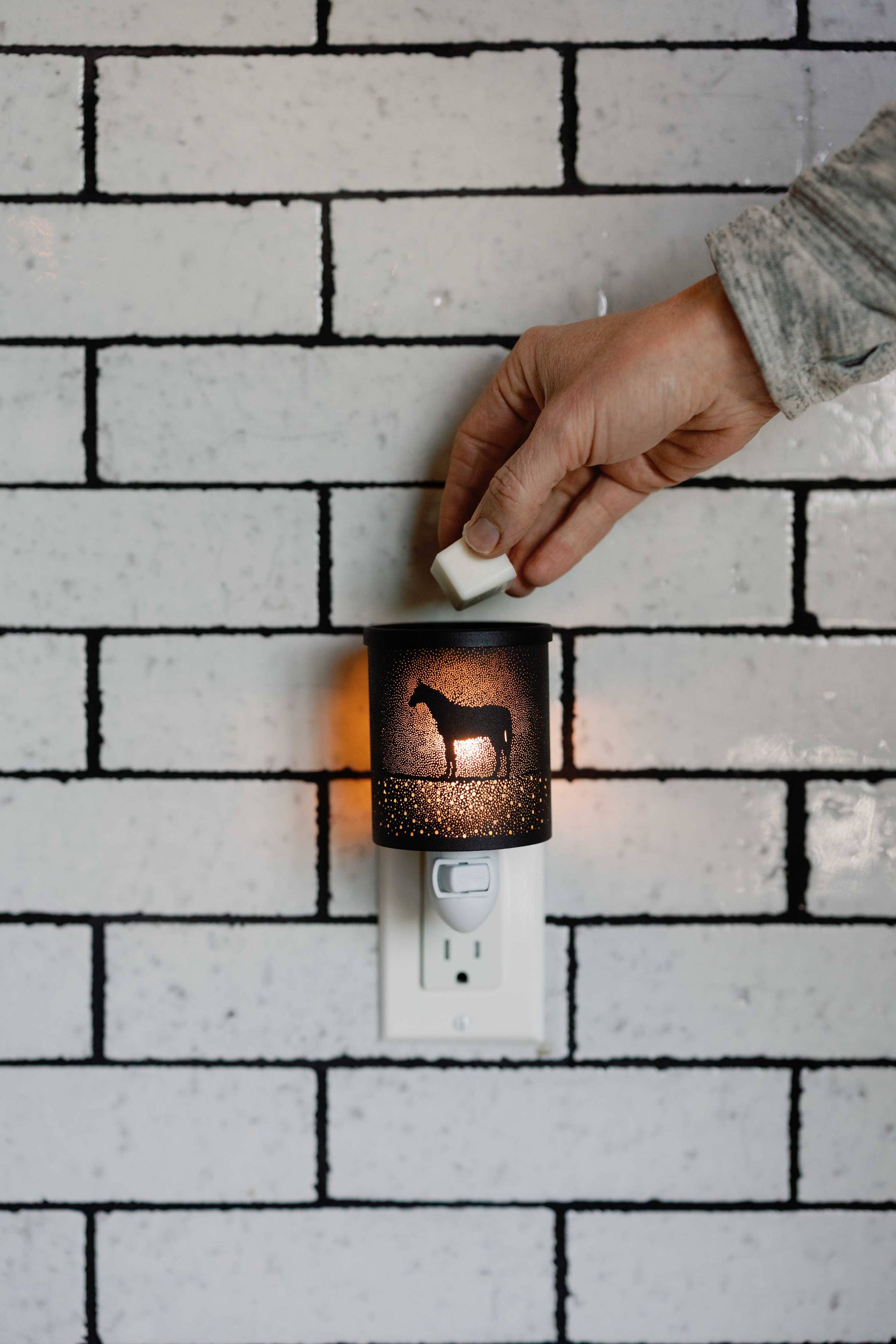 Horse Wax Warmer - Riders Choice Supply Co