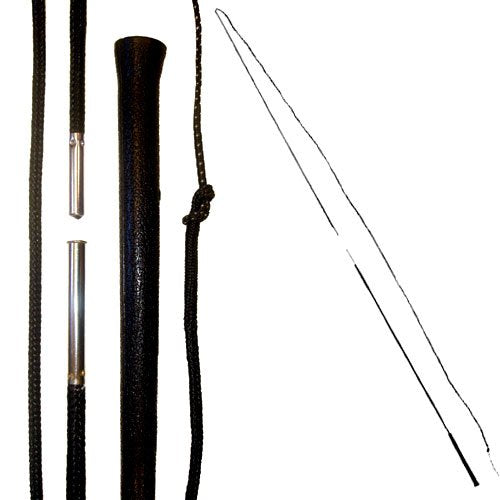 Lunge Whip with 4' Drop