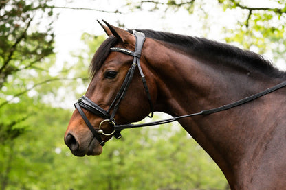 KL Select Flexion Rolled Bridle in Patent Leather