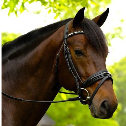 KL Select Flexion Rolled Bridle in Patent Leather