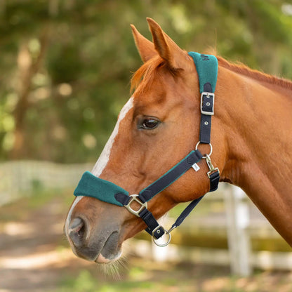 Equinavia Saga Fleece Padded Breakaway Halter