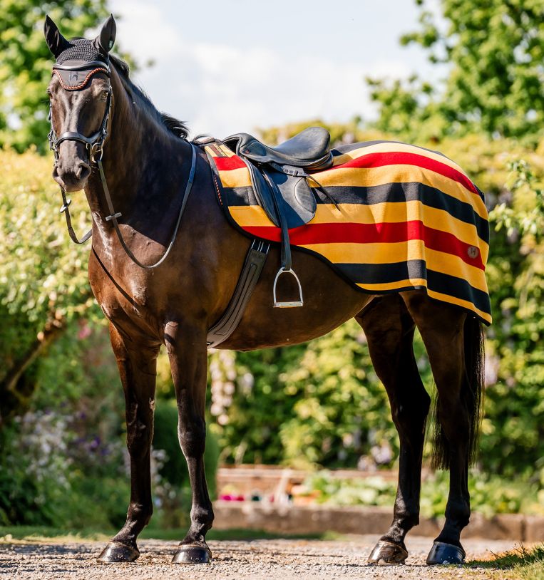 Horseware Newmarket Exercise Sheet Witney Gold - Riders Choice Supply Co