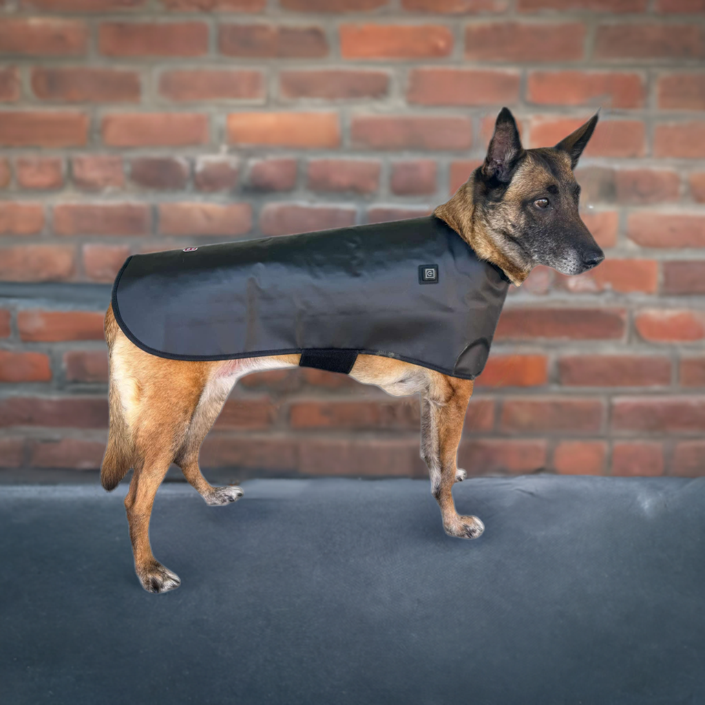 Redline Dog Wrap- Large - Riders Choice Supply Co