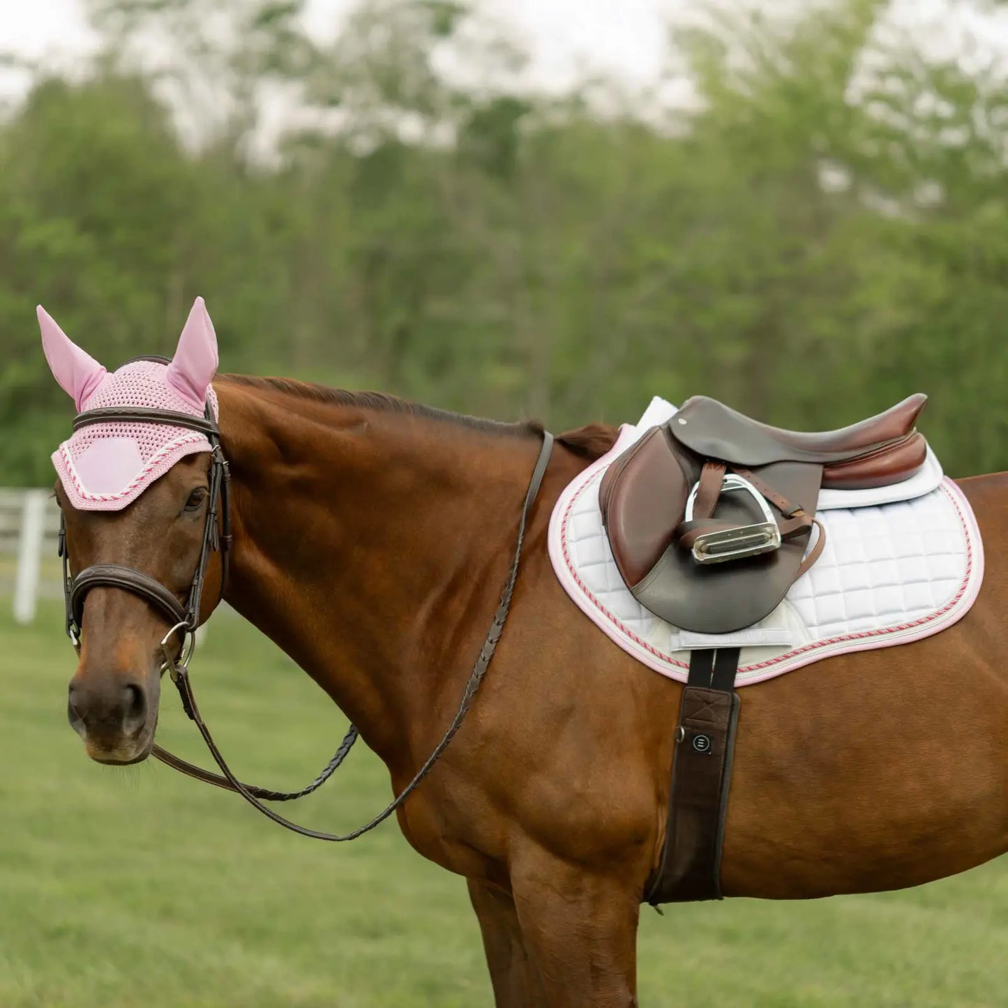 Equinavia Copenhagen Stay Put All Purpose Saddle Pad