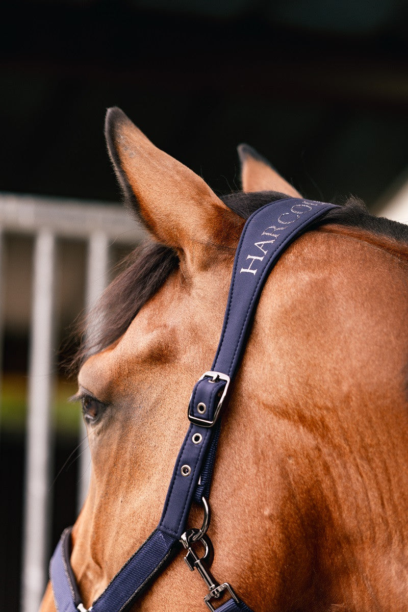 Hansey Horse Halter with Lead Rope - Riders Choice Supply Co