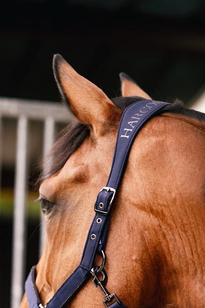 Hansey Horse Halter with Lead Rope - Riders Choice Supply Co