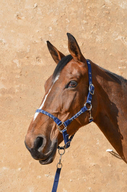 Hacker Halter & Lead Rope - Riders Choice Supply Co