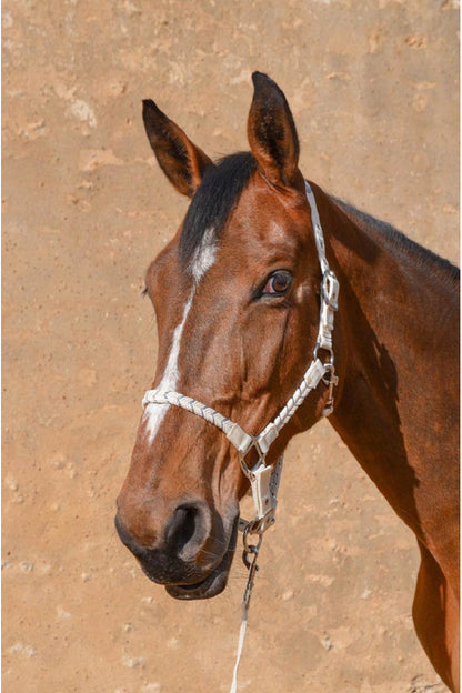 Hacker Halter & Lead Rope - Riders Choice Supply Co