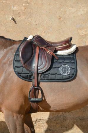 Salal Saddle Pad - Riders Choice Supply Co