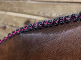 Braiding Mousse  6 oz white bottle
