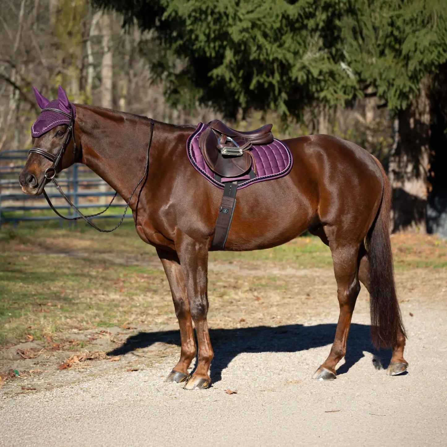 Equinavia Copenhagen Stay Put All Purpose Saddle Pad