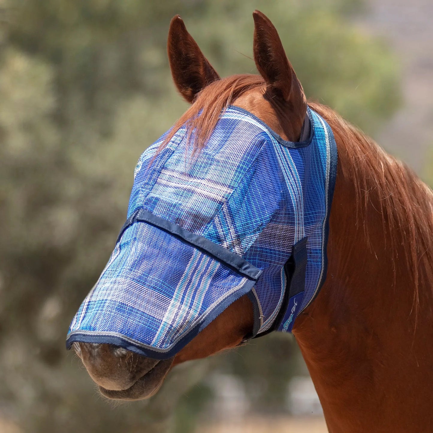 Fly Mask with Nose & 73% UV Protection - Open Top Design - Riders Choice Supply Co