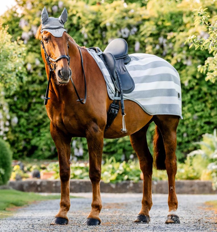 Horseware Newmarket Exercise Sheet Witney Charcoal Small - Riders Choice Supply Co