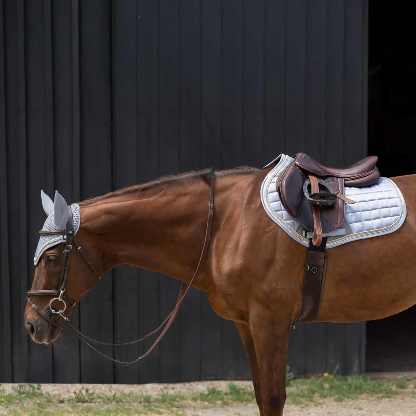 Equinavia Copenhagen Stay Put All Purpose Saddle Pad