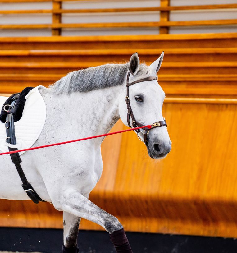 Horseware Micklem® 2 Multi Bridle with Rubber Reins