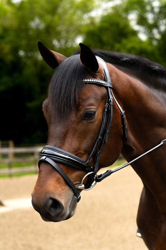 KL Select Flexion Rolled Bridle in Patent Leather