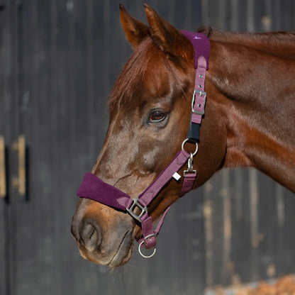 Equinavia Saga Fleece Padded Breakaway Halter